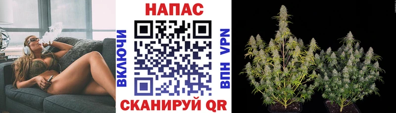 Бошки марихуана VHQ  Анадырь 